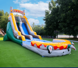 Screenshot 20250712 1338032 1752345948 T-Rex water Slide